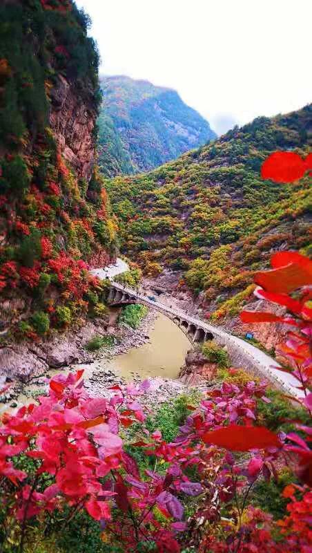 陕西，热烈欢迎各位来宾与朋友们