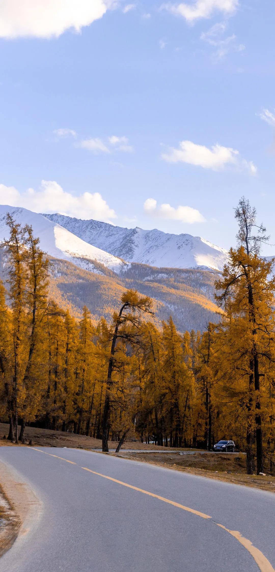 新疆,探寻神秘大地的无尽魅力