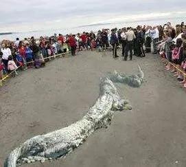 营口之韵,探索城市魅力