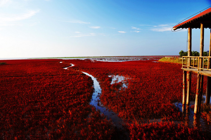 盘锦,城市与梦想的励志篇章