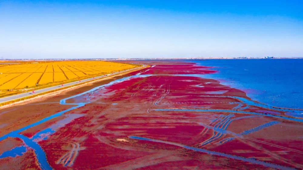 盘锦,城市与梦想的励志篇章